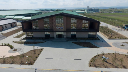 İlham Əliyev Şamaxıda "Şirvan Aqro" heyvandarlıq kompleksinin açılışında iştirak edib