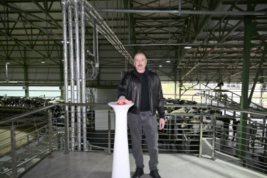 İlham Əliyev Şamaxıda "Şirvan Aqro" heyvandarlıq kompleksinin açılışında iştirak edib