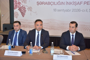 Şamaxıda “Üzümçülük və şərabçılığın inkişaf perspektivləri” mövzusunda konfrans keçirilib