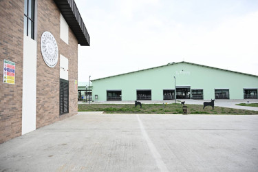 İlham Əliyev Şamaxıda "Şirvan Aqro" heyvandarlıq kompleksinin açılışında iştirak edib