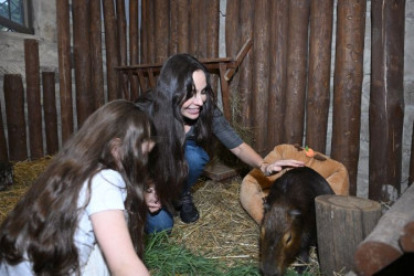 Leyla Əliyeva Şamaxıda “Capybara Azerbaijan” fermasında olub