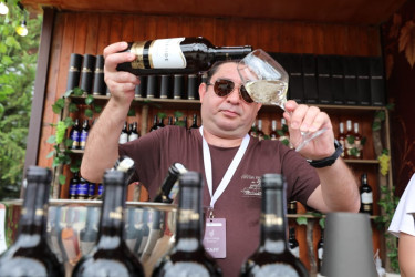 Şamaxıda Beşinci Üzüm və Şərab Festivalı keçirilib