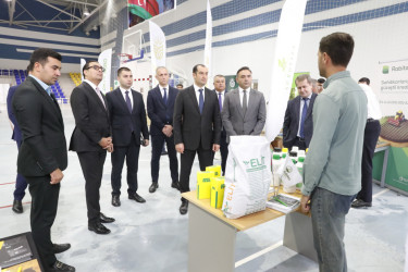 Şamaxıda mövsümün ilk toxum sərgi-satış yarmarkası və Aqrar Biznes Festivalı keçirilib