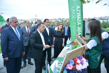 “Şəhərsalma və Memarlıq İli” çərçivəsində 7-ci “Yaşıl dağ” ekoloji-sosial aksiyası keçirilib