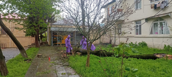 Şamaxıda güclü külək və intensiv yağışın fəsadları aradan qaldırılır