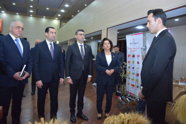 Şamaxıda 2025-ci ilin sosial-iqtisadi inkişafının yekunlarına və qarşıda duran vəzifələrə həsr edilmiş hesabat yığıncağı keçirilib