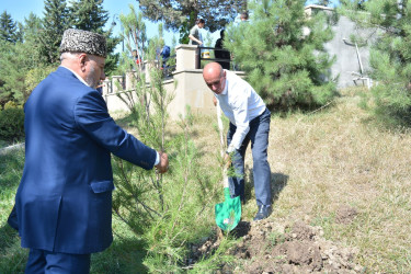 Şamaxıda 27 sentyabr - Anım Günününə həsr olunmuş tədbirdə şəhidlərin əziz xatirəsi yad edilib