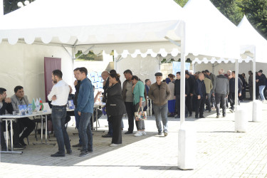 Şamaxıda növbəti Əmək Yarmarkası keçirilib