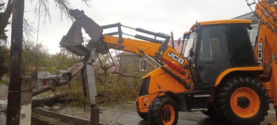 Şamaxıda güclü külək və intensiv yağışın fəsadları aradan qaldırılır