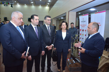 Şamaxıda 2025-ci ilin sosial-iqtisadi inkişafının yekunlarına və qarşıda duran vəzifələrə həsr edilmiş hesabat yığıncağı keçirilib