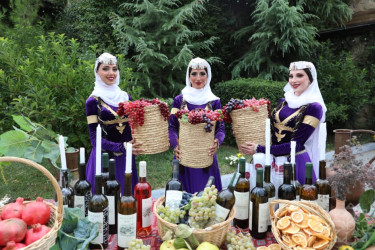 Şamaxıda Beşinci Üzüm və Şərab Festivalı keçirilib