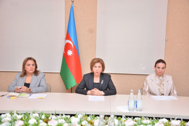 Bahar Muradova Şamaxıda vətəndaşların müraciətlərini dinləyib