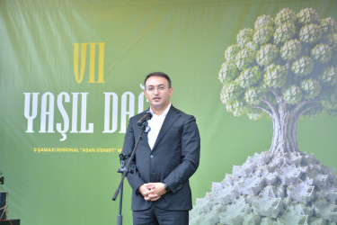 “Şəhərsalma və Memarlıq İli” çərçivəsində 7-ci “Yaşıl dağ” ekoloji-sosial aksiyası keçirilib