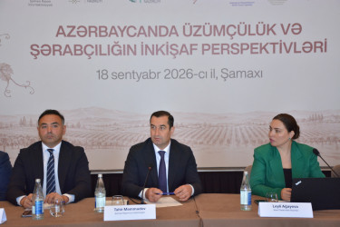 Şamaxıda “Üzümçülük və şərabçılığın inkişaf perspektivləri” mövzusunda konfrans keçirilib