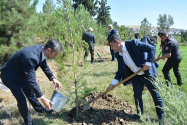 Şamaxıda 27 sentyabr - Anım Günününə həsr olunmuş tədbirdə şəhidlərin əziz xatirəsi yad edilib