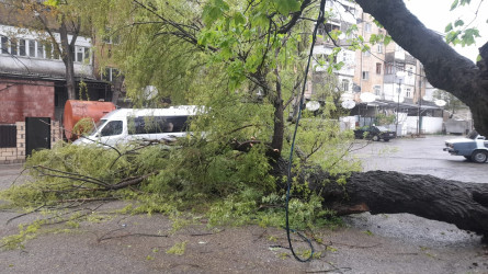Şamaxıda güclü külək və intensiv yağışın fəsadları aradan qaldırılır