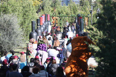 Şamaxıda İkinci Üzüm və Şərab Festivalı keçirilib - 25-26.11.2023