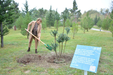 Bolqarıstan Respublikasının Prezidentinin xanımı Desislava Radeva Şamaxıya səfər edib - 13.11.2024