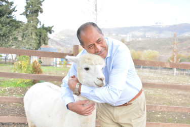 COP29 ilə bağlı ölkəmizdə olan müxtəlif ölkələrin nümayəndə heyətlərinin Şamaxıya səfərləri davam edir - 19.11.2024