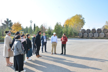 COP29 ilə bağlı ölkəmizdə olan müxtəlif ölkələrin nümayəndə heyətlərinin Şamaxıya səfərləri davam edir - 19.11.2024
